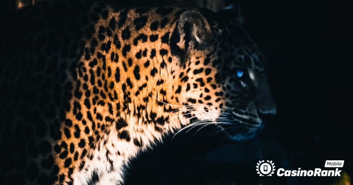 Yggdrasil Partners ReelPlay để giải phóng Jaguar SuperWays khỏi Bad Dingo